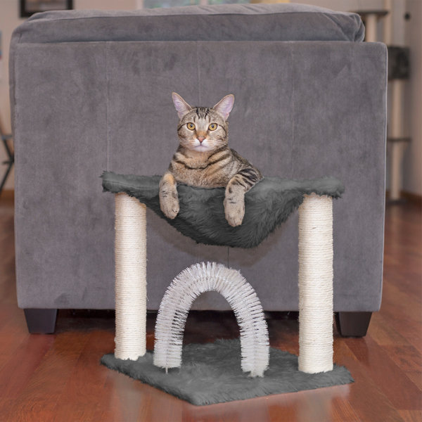 Large Cat Hammock Wayfair